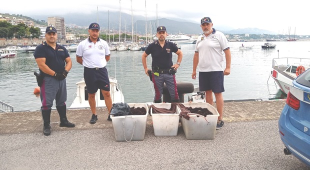 Pescatori di ricci di mare in trasferta dalla Puglia a Gaeta, maxi sequestro e sanzioni