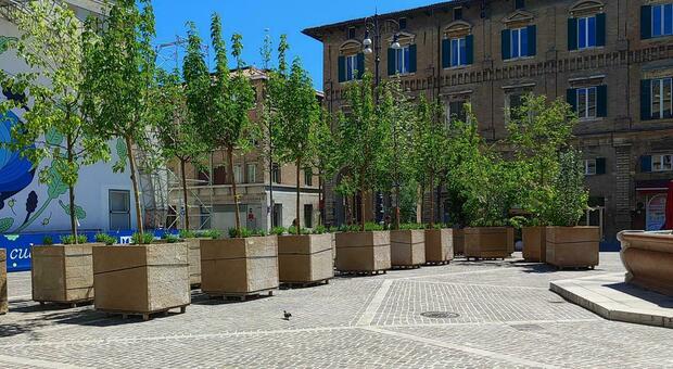 L'architetto Leoni: «Togliete le piante dalla piazza, meglio in piazzale D’Annunzio»