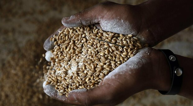 Emergenza fame per 193 milioni La Fao: «Numeri in rapida crescita»
