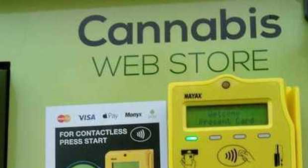 Il distributore di cannabis