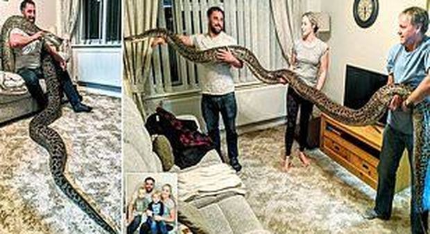 Compra un serpente di 20 cm, ma il rettile diventa il più grande pitone birmano al mondo
