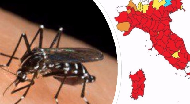 Zanzare, la settimana dell'invasione: la mappa delle città più infestate