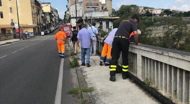 Nuovi controlli sul ponte San Rocco: chiusa metà strada per problemi di sicurezza