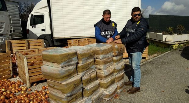 Roma, carico di droga nascosto tra le cipolle: narcos bloccati dalla Finanza