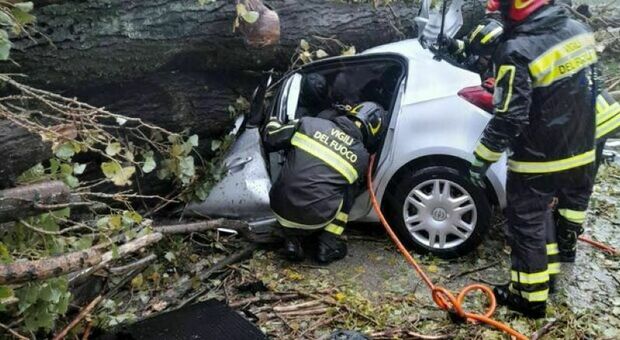 Maltempo, albero cade su un'auto in transito a Monselice: grave il conducente