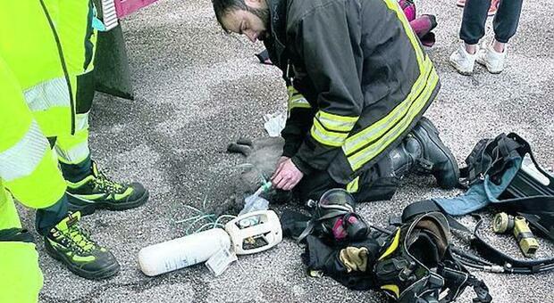 Roma, incendio in casa: il gatto salvato dai pompieri con la bombola d'ossigeno. La foto incredibile