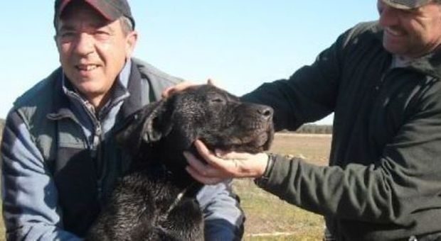 Cane salvato da due cacciatori