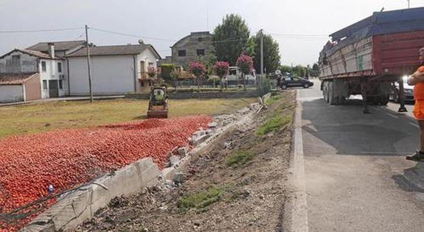Il carico di pomodori rovesciato sul campo a fianco della strada (Dienne Foto)