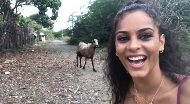Voleva scattarsi un selfie con una capra, ma l'animale aveva un altro piano