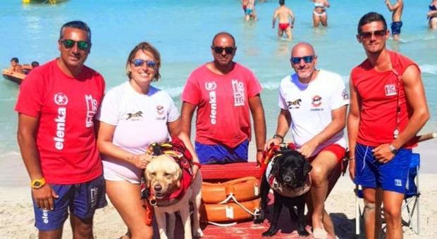 Ferragosto di fuoco per i cani bagnini: sei i salvataggi sulle spiagge italiane