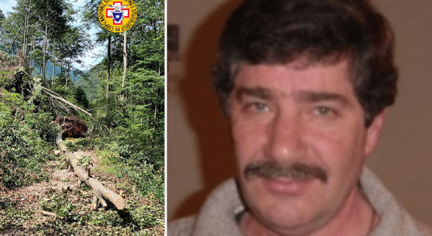 Travolto da una ceppaia nel bosco: muore Giuseppe, era un volontario della protezione civile