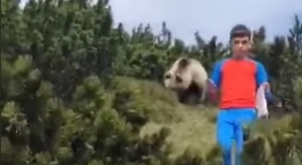 L'orso spunta dai cespugli in Trentino, il bambino non perde la calma e si salva così VIDEO