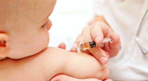 Sacile Vaccini obbligatori La bocciatura del M5S arriva in Consiglio