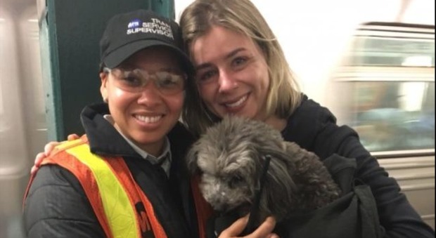 Paura per una cagnolina a New York, scappa e finisce sui binari: la metro viene fermata per salvarla