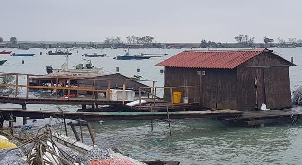 Cavane, oltre il 70% distrutte dal vento I pescatori: «Mai vista una cosa così»