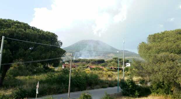 In fiamme alberi e sterpaglie: tornano gli incendi nell'area del Vesuvio