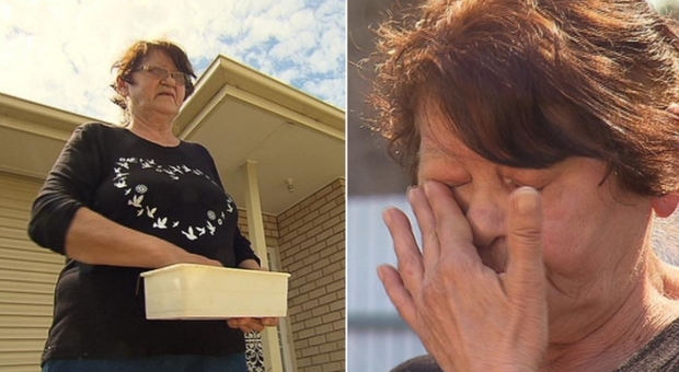 L'anziana Elizabeth Vlajkov, multata di 30mila dollari perchè dava da mangiare ai piccioni (immagini pubbl da 7 News Australia)