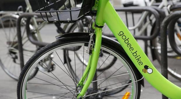 Gobee, stop al bike sharing in Italia e in Europa: "Troppi vandali, adesso basta"
