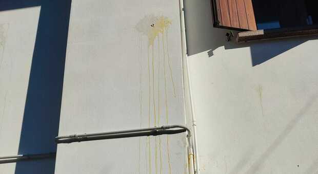 Baby vandali lanciano le uova contro le case di Preganziol