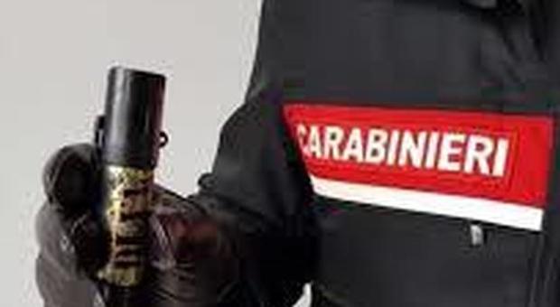 Aggredisce compagna e carabinieri nel Napoletano: bloccato con lo spray al peperoncino