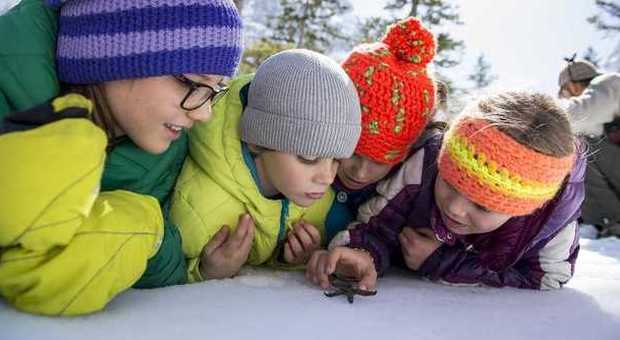Bambini Detective Natura nella neve in Alto Adige