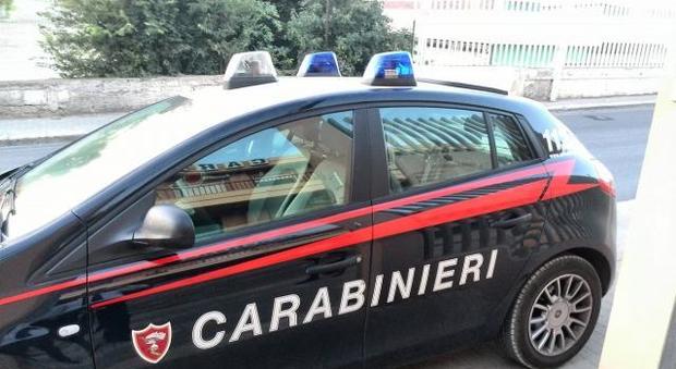 Carabinieri nel 2016 200 arresti per furto