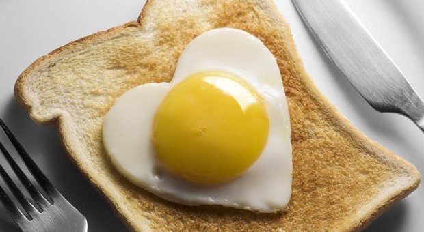 Riabilitato l'uovo: uno al giorno è amico del cuore e riduce il rischio cardiovascolare