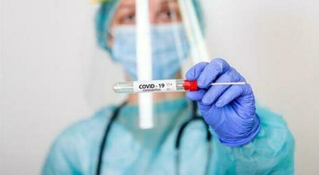 Coronavirus, altri 564 casi positivi nelle Marche