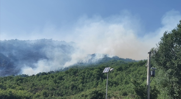 Montaguto, 30 ettari di bosco in fiamme: 4 aerei per spegnere l'incendio