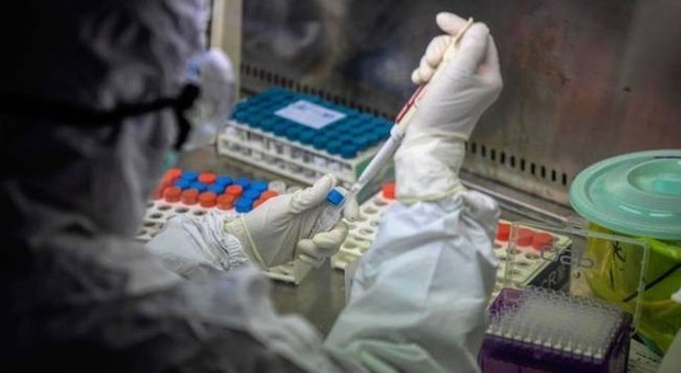 Coronavirus, 15 casi in Spagna: c'è anche chi era a San Siro. Sciacalli in azione: «Rubate mascherine negli ospedali»
