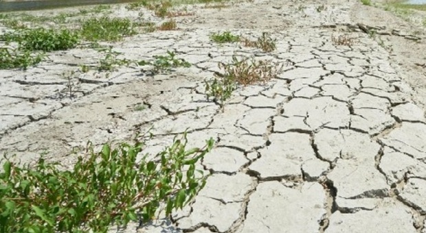 Pioggia col contagocce, nella Tuscia è già "severità idrica": rischio estate a secco