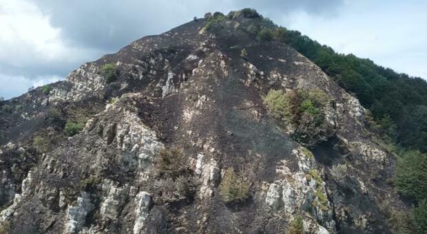 Un versante del monte Raut aggredito dal fuoco