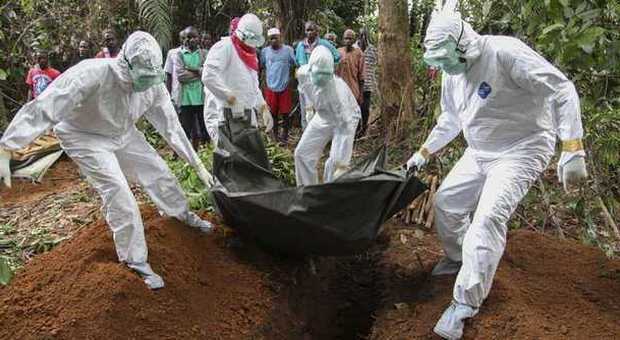 Ebola, allarme dell'Oms: "Tra il 14 e il 16 agosto 113 nuovi casi e 84 morti"