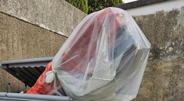 Bara abbandonata nel cassonetto dei rifiuti, la foto è virale. Ironia social: «Se è buona, la prendo io»