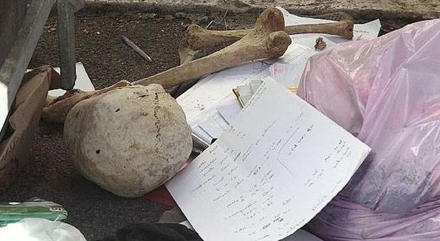 Roma, ossa umane trovate in un cassonetto: è giallo