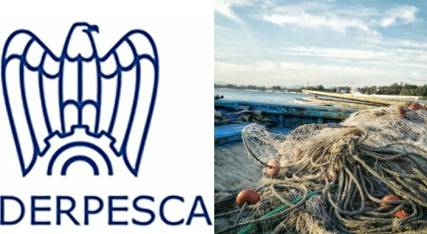 Federpesca: «L'approvazione del nuovo Regolamento controlli Ue è uno schiaffo al settore della pesca»