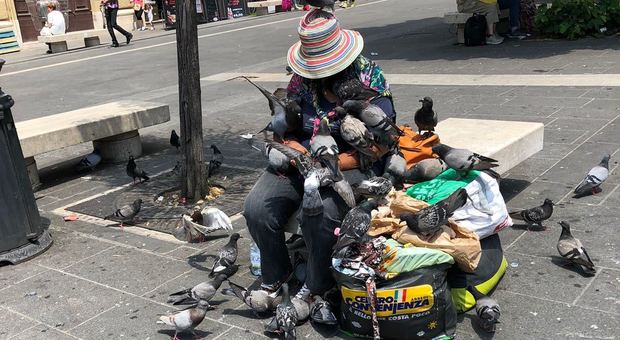 Roma, il signore dei piccioni a piazzale Flaminio: clochard alleva decine di uccelli