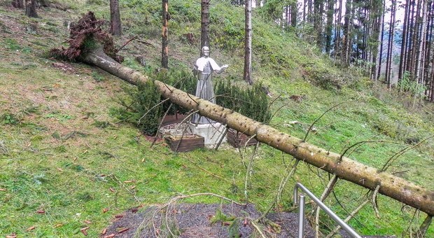 Campo Solagna: cade abete e sfiora la statua di Papa Wojtyla