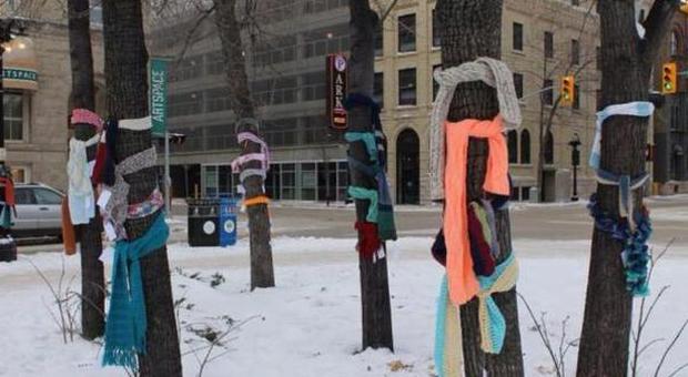 Sciarpe legate agli alberi per i senzatetto: "Usami se hai freddo, sono qui per te"