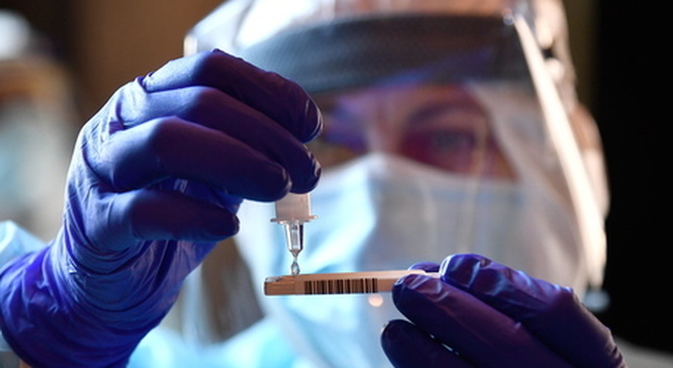 Covid, in Abruzzo test rapidi antigenici gratuiti per studenti in farmacia