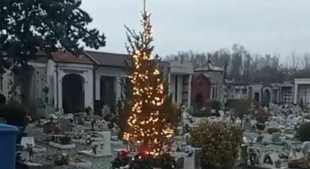 Un albero di Natale al cimitero: «Per i bimbi che non ci sono più». L'iniziativa di un'azienda salentina