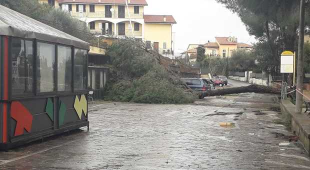 Tromba d'aria su Fabrica di Roma, danni e alberi abbattuti