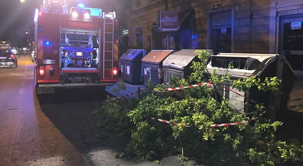 Roma, albero crolla su auto a Prati: ferita donna incinta
