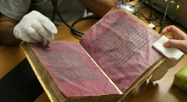 Napoli, porpora e oro, la strana scoperta in pergamene di mille anni fa: «Ottenuta da licheni»