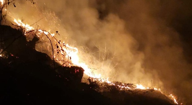 Incendi nel Bellunese: ancora fiamme sopra Fortogna, a Igne il rogo si sposta verso Nord