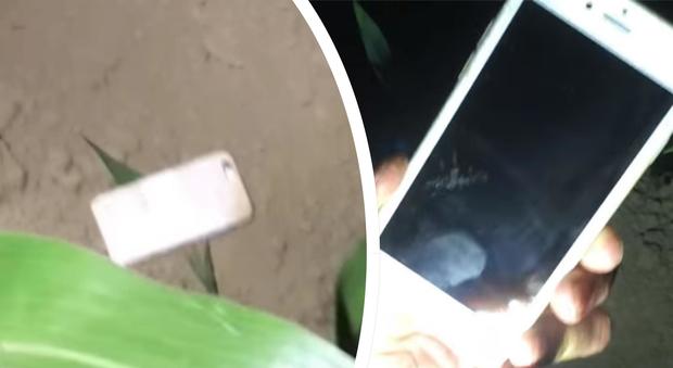 L'iPhone cade in volo da 400 metri, dopo ore lo ritrovano intatto in un campo