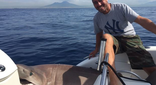 Napoli, squalo di quasi tre metri pescato davanti Mergellina