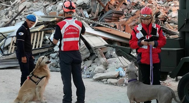 Quattro volontari di Marostica con quattro cani in soccorso ad Amatrice tra le macerie del convento di suore