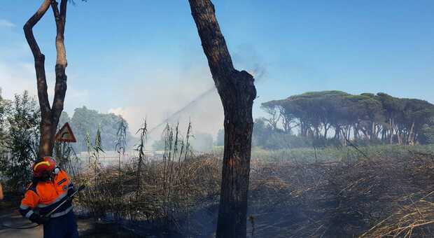 Incendio a Ostia (foto Ippoliti)