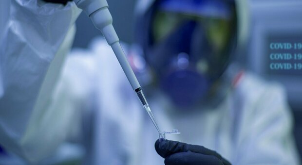 Un nuovo vaccino universale anti-Covid: la speranza da uno studio australiano. «Bloccherà tutte le varianti»